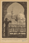 Image ID 833753