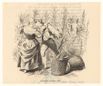 Image ID 833762