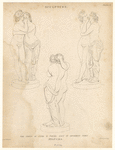Image ID 833780