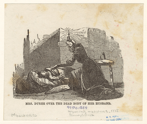 Image ID 833787