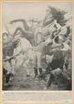 Image ID 833795
