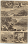 Image ID 833859