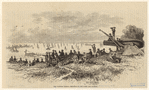 Image ID 833866