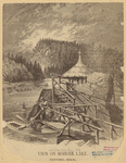 Image ID 833869