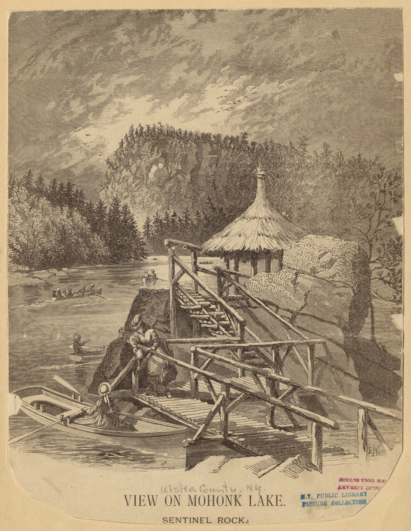 Image ID 833869
