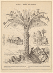 Image ID 833870
