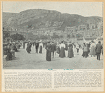 Image ID 833877