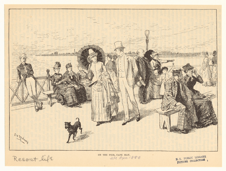 Image ID 833884
