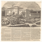 Image ID 833886