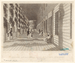Image ID 833890
