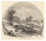Image ID 833896