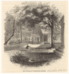 Image ID 833897