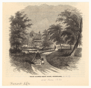 Image ID 833904