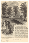 Image ID 833907