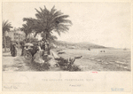 Image ID 833915