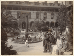 Image ID 833930