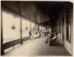 Image ID 833931