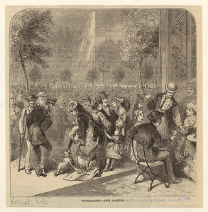 Image ID 833935