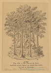 Image ID 834030