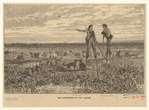 Image ID 834159