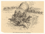 Image ID 834396