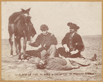Image ID 834420