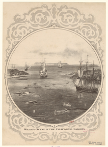 Image ID 834446