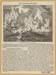 Image ID 834451