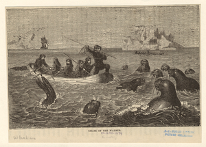 Image ID 834454