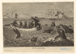 Image ID 834454