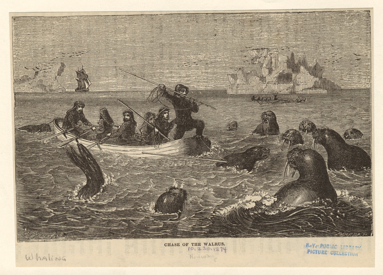 Image ID 834454

