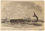 Image ID 834455
