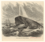 Image ID 834461