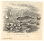 Image ID 834462
