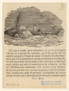 Image ID 834465