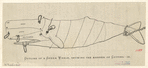 Image ID 834471