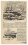 Image ID 834473