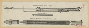 Image ID 834477