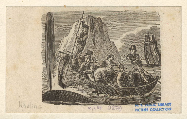 Image ID 834478
