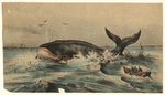 Image ID 834486