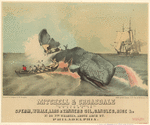 Image ID 834487