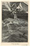 Image ID 834488