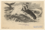 Image ID 834492