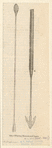 Image ID 834493