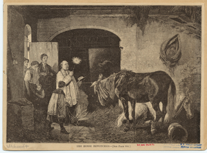 Image ID 834518