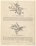 Image ID 834524