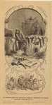 Image ID 834527