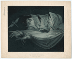 Image ID 834529