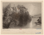 Image ID 834821