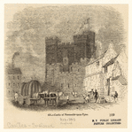Image ID 834831